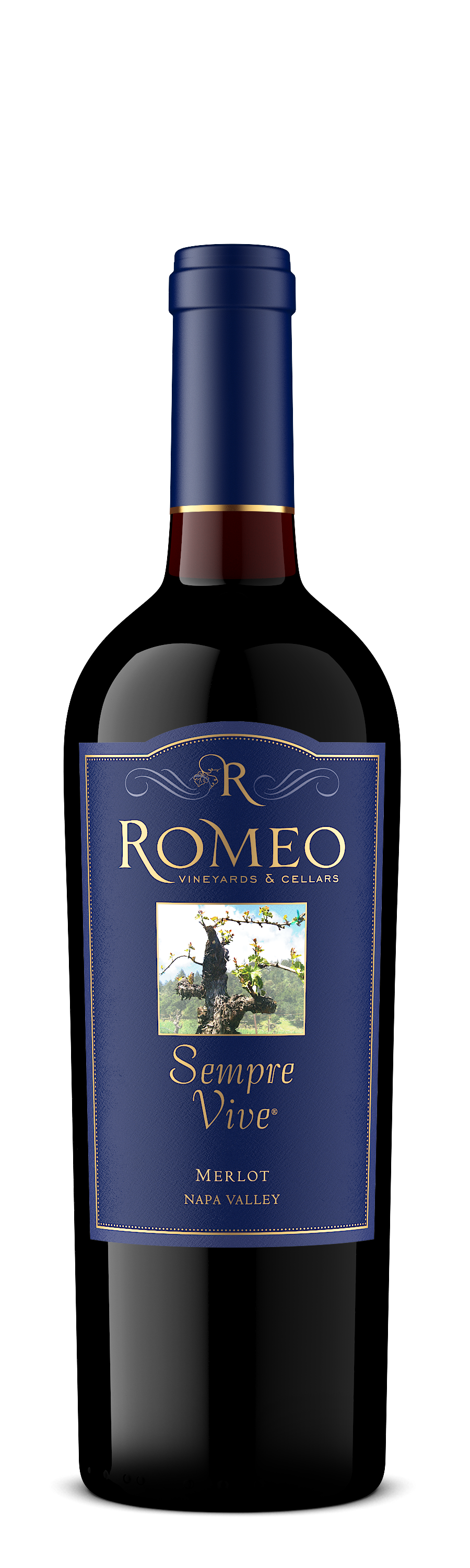 Product Image for 2014 Merlot
